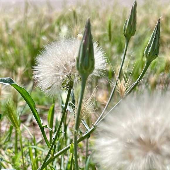 Hi Y’all, I’m Logan! 👋🏻 - Picture 4 of 6